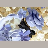 Dolce & Gabbana Blue Jasmin EDP 50ml