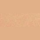 Clarins Tinted Oleo-Serum