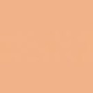 Clarins Everlasting Youth Fluid Foundation