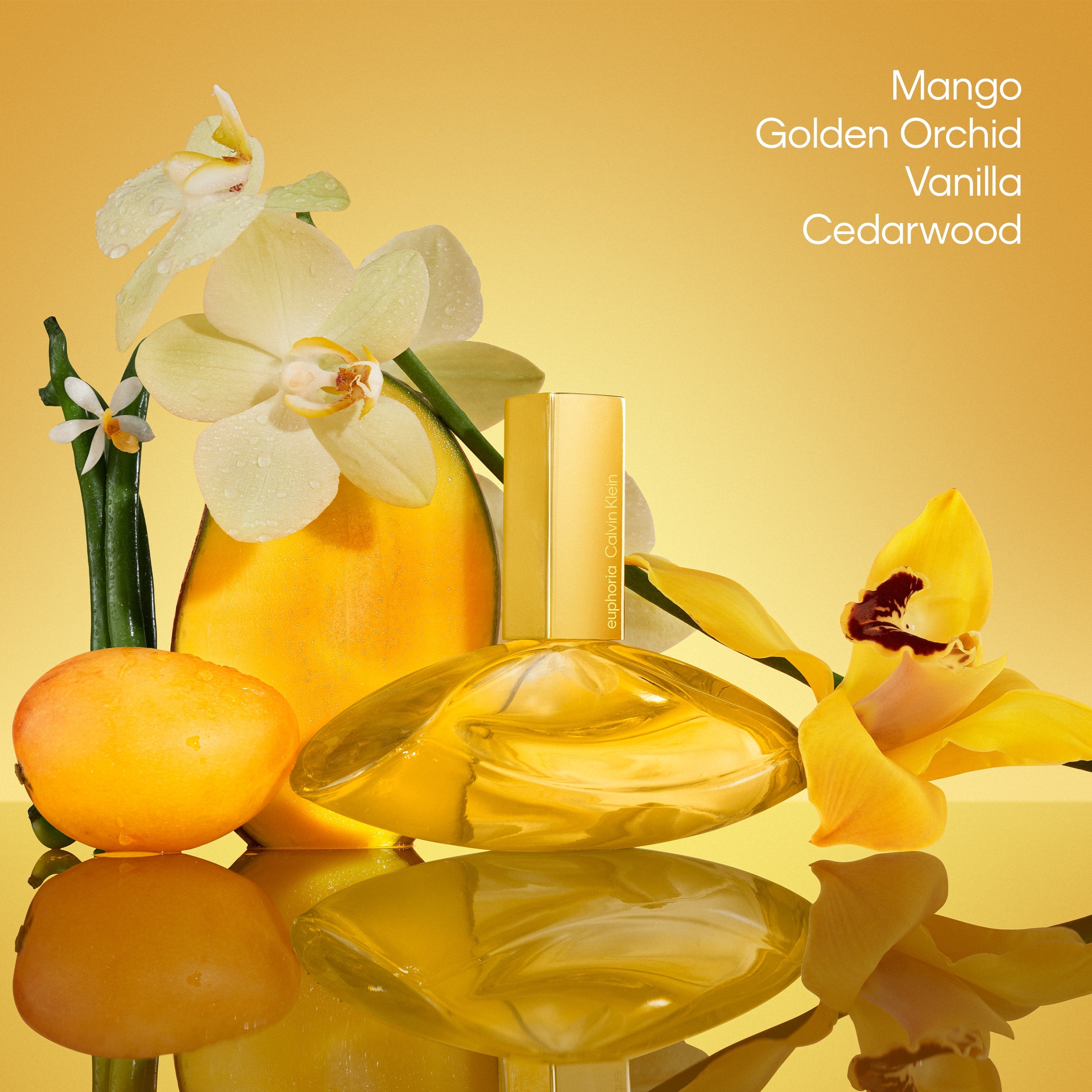 Calvin Klein Euphoria Solar Elixir