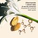 Nutri-Lumiere Day Cream SPF15